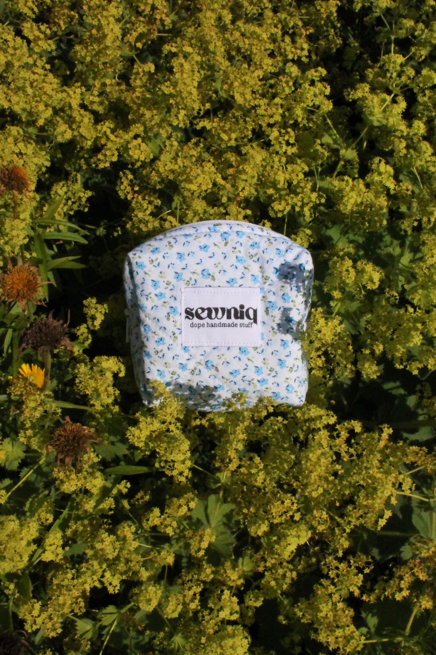 Blueberry Kit