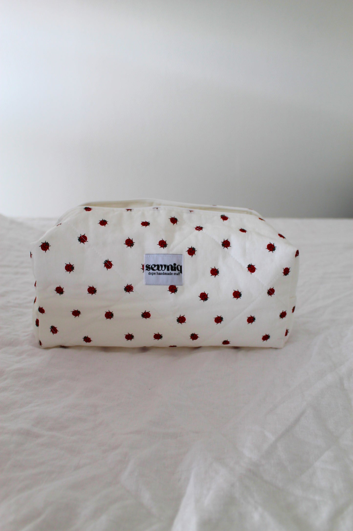 Ladybug kit