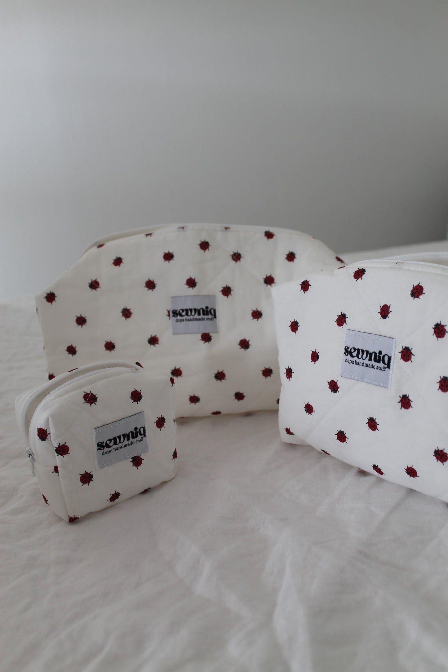 Ladybug kit